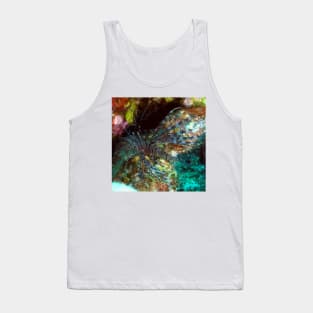 Lion Fish on the Reef Tank Top